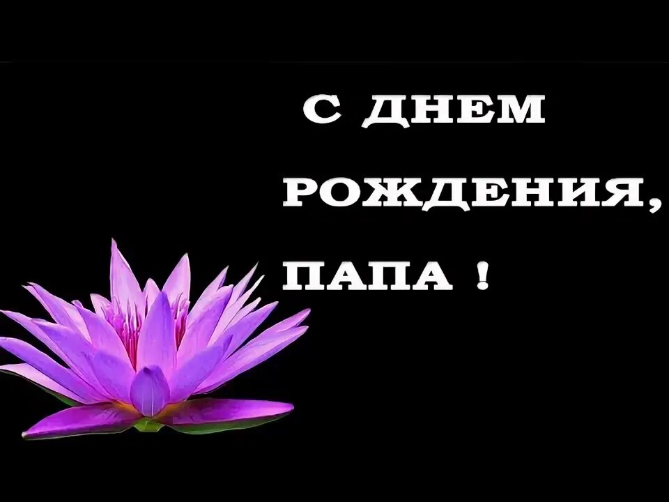 Поздравления с днём рождения паапе. Что нарисовать папе на день рождения. Поздравления с днём рождения папе. Поздравления с днём рождения паапе. Открытка папе на день рождения.