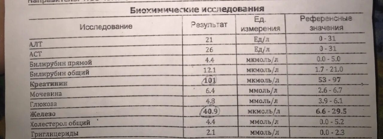 Норма железа у взрослого мужчины. Анализ крови норма сывороточного железа.