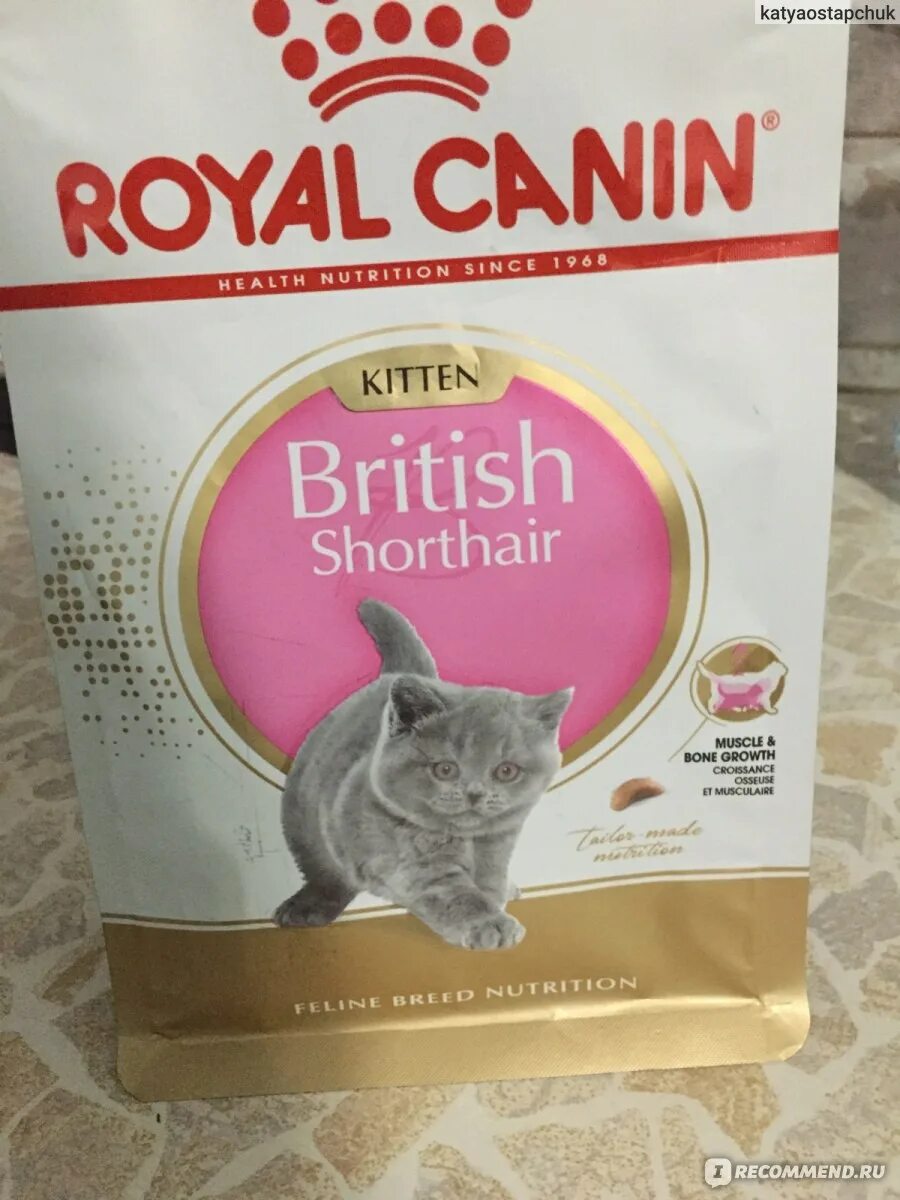 Корм хиллс для котят. Royal canin для британцев. Каким кормом кормить британскую. Хиллс для британцев. Роял канин для котят британских короткошерстных.