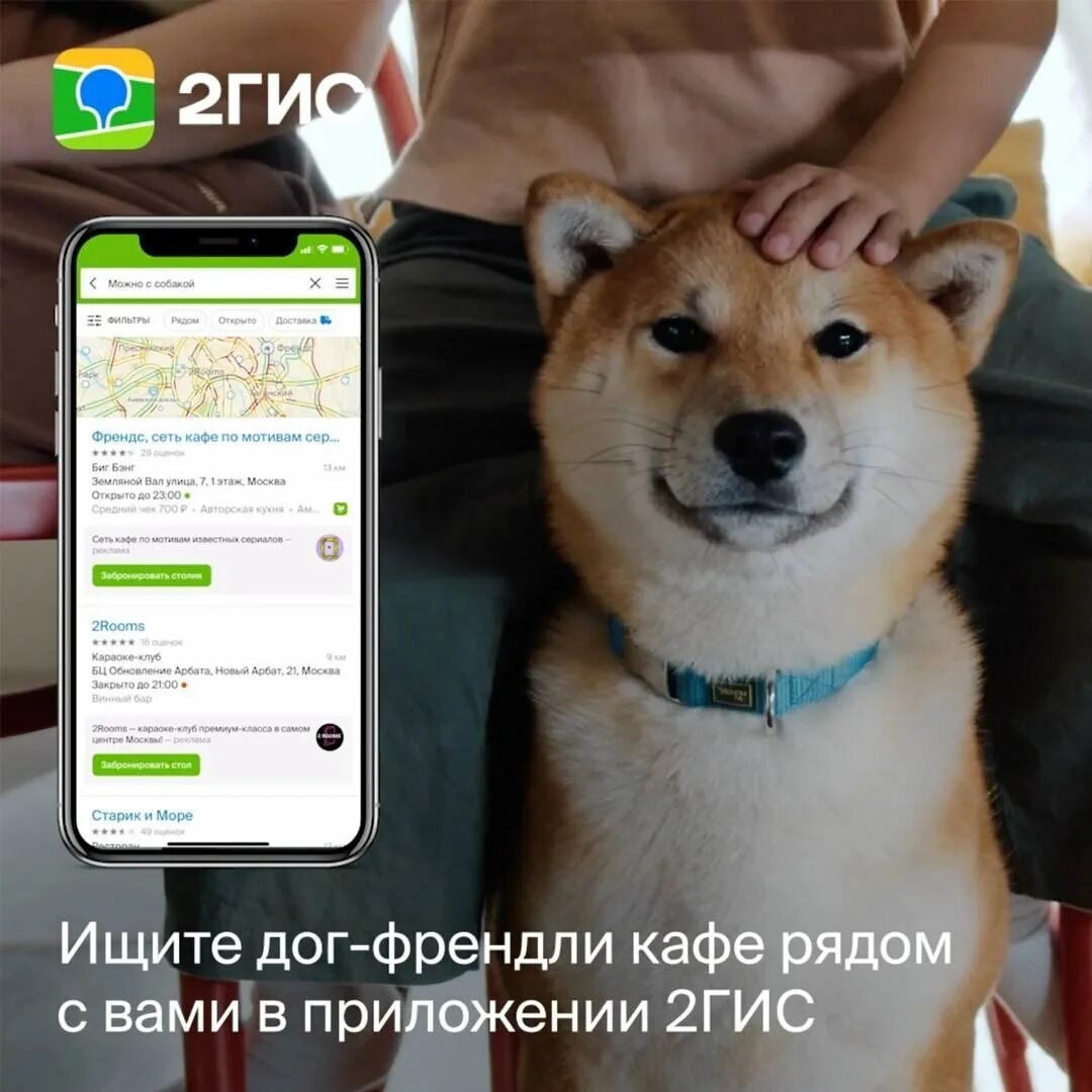 Дог френдли вывеска. Дог френдли нижний новгород. Дог френдли. Дог френдли кафе басиа. Вкус вилл дог френдли.