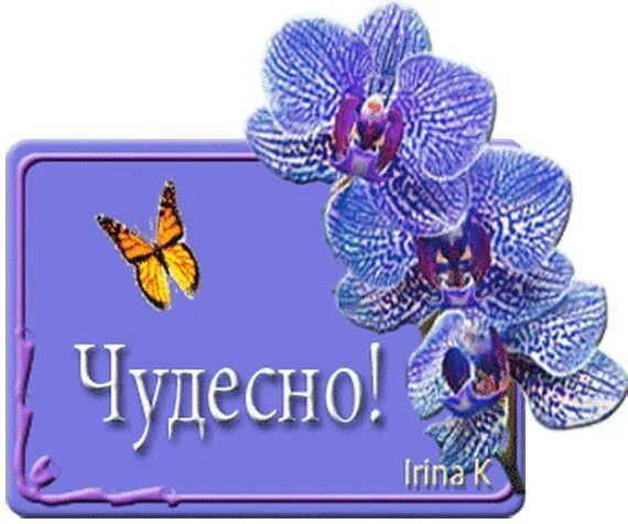 Замечательно анимация. Надписи чудесная работа. Открытки супер классно замечательно. Открытка здорово. Великолепно надпись.