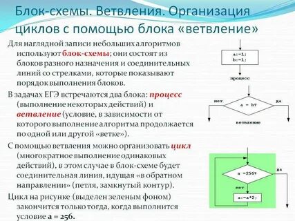 Виды ветвления блок схемы