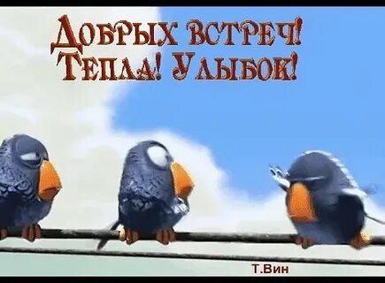 Добрых встреч
