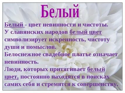 Основной цвет белый