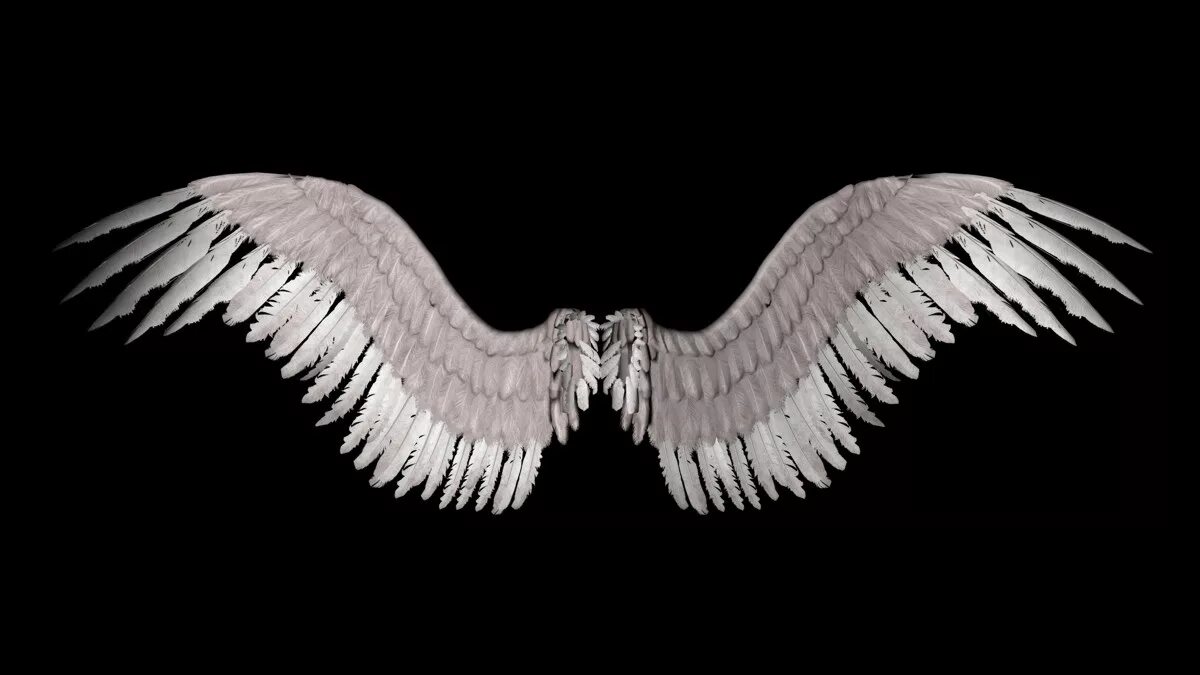 Ангельские Крылья. Красивые Крылья. Ангельские Крылья на черном фоне. Крылья на черном фоне