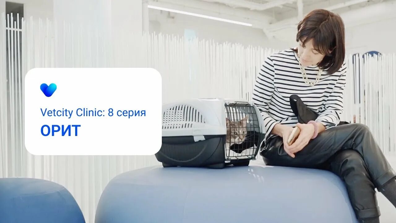 Москва Зубарев переулок 7 vetcity Clinic. Vetcity Clinic Зубарев пер., 7, Москва фото и видео. Vetcity clinic москва