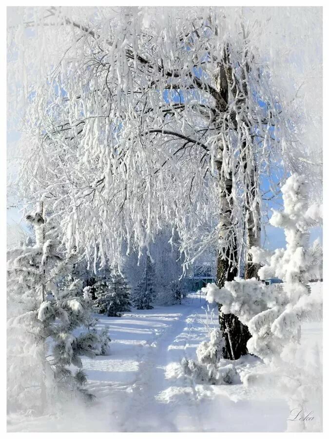 Соколов-микитов выпал снег. Художник тед блейлок зима. Стихотворение про зиму. Зимние стихи. В лес приходит сказка.