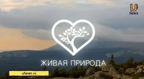 Канал живая природа