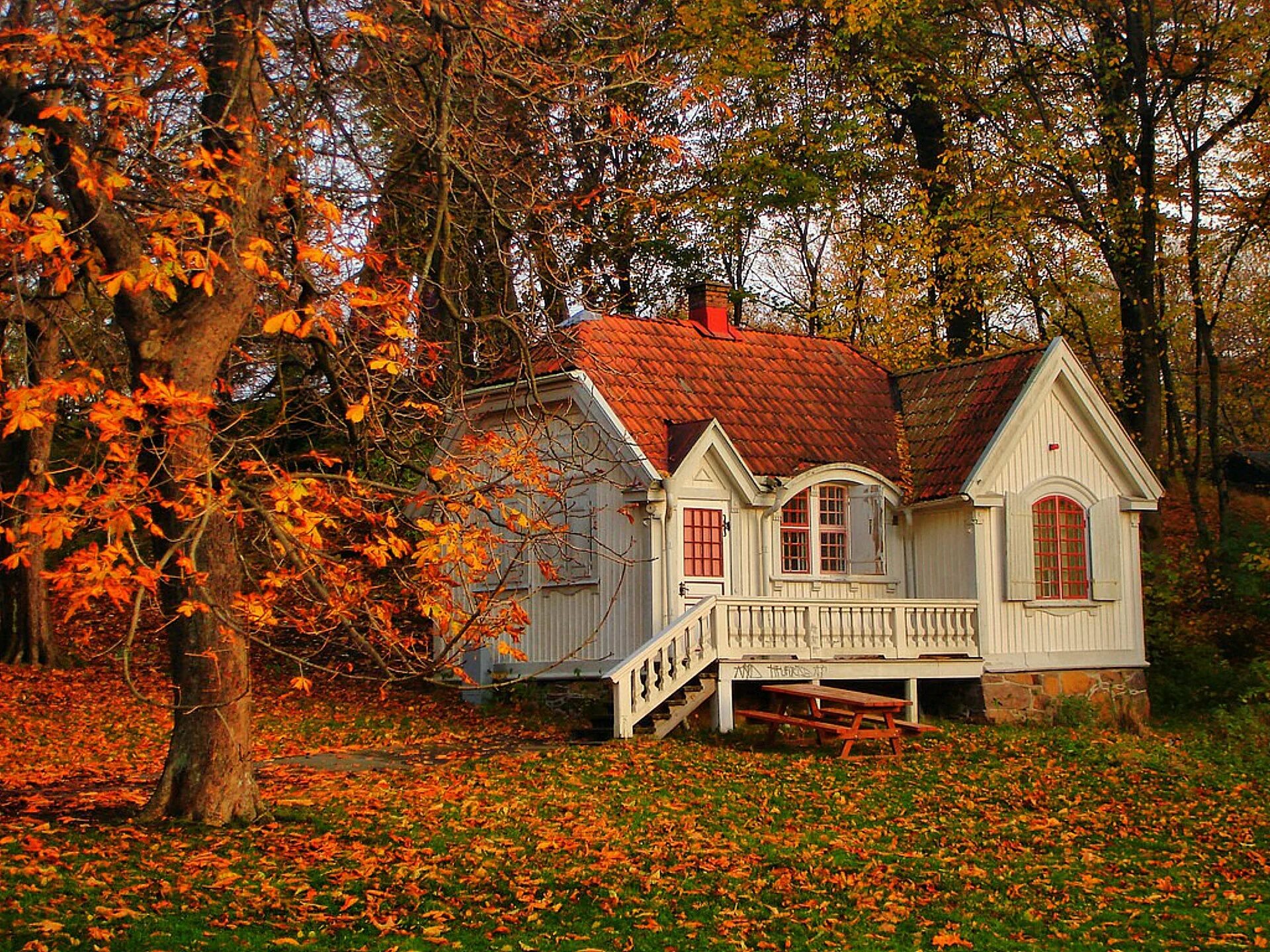 Осенний дом. Осень дом. Уютный домик. Домик в осеннем лесу. Где то за лесом милый дом