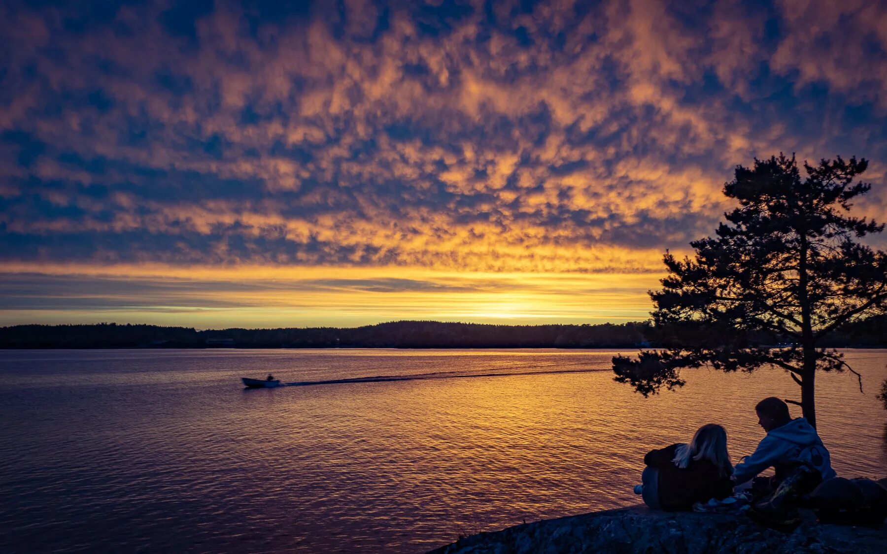 карелия эстетика ладожское озеро вечер. красивые фото белых ночей на природе летом. белой ночью на озере в карелии. белые ночи карелии болото. луна у ладожского озера.