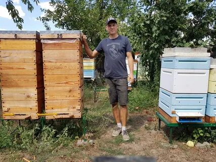 День пчеловода