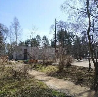 Погода в стеклянном всеволожский