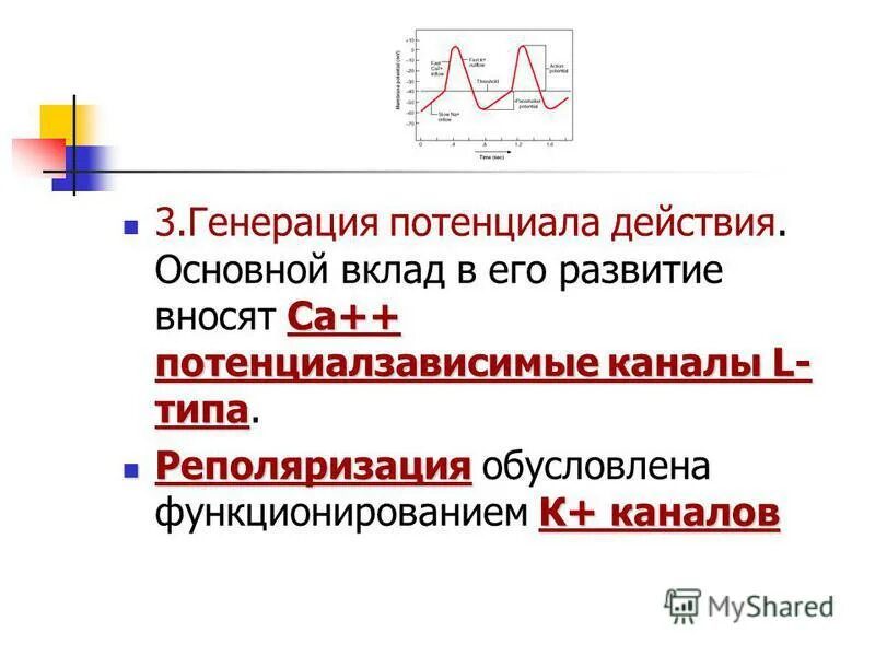 Потенциал действия биофизика. Механизм возникновения торможения на постсинаптической мембране. Механизмы генерации потенциала. Механизм генерации нервного импульса. Генерация потенциала действия.