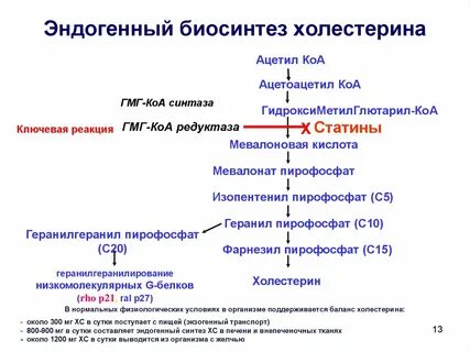 В печени много холестерина