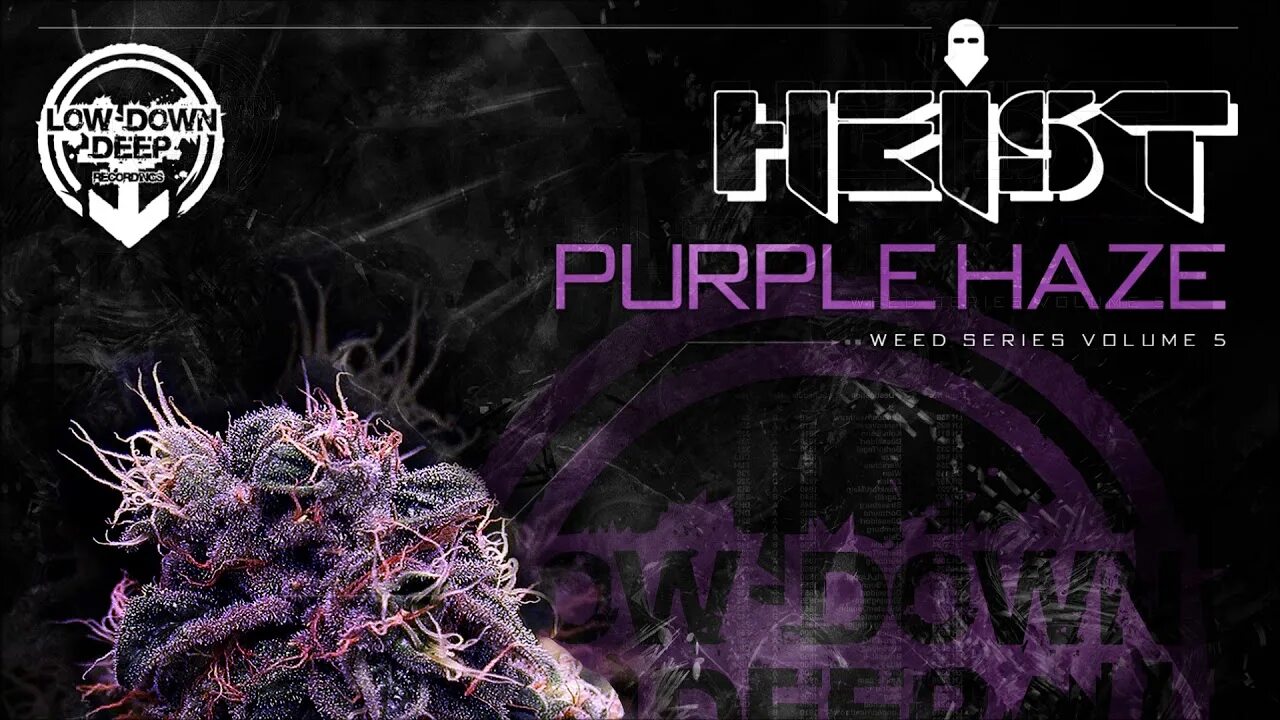 Purple haze текст. Перпл хейз. группа purple haze. вирус пурпл хейз.