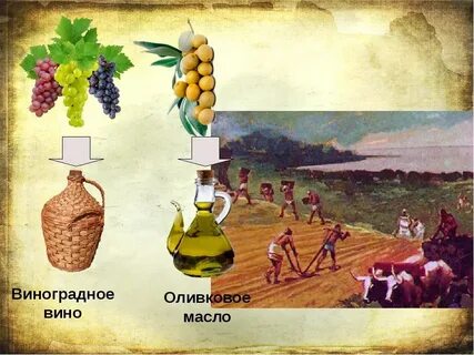 Вино зерно