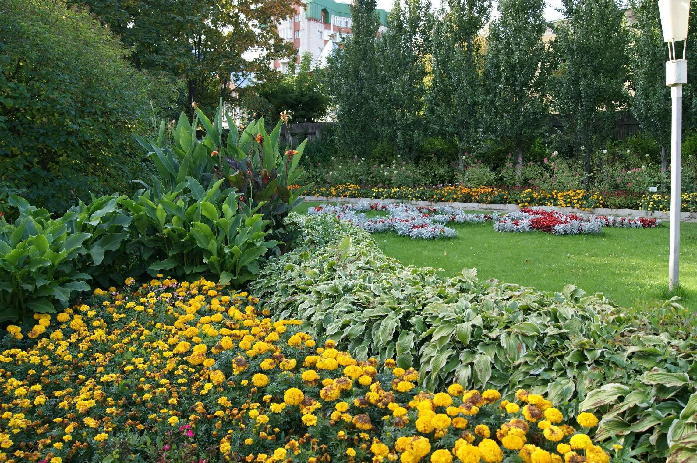 Рододендрон парк галицкого краснодар. Растения краснодара. Растения краснодара. Растения краснодара фото. Парк краснодар.