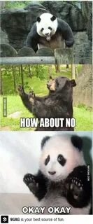 Panda meme
