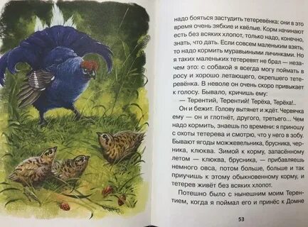 Бианки пришвин