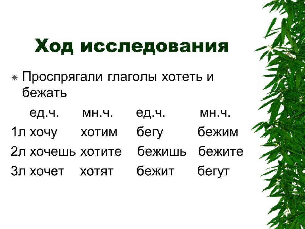 Лицо глагола вырастет. Проспрягать глаголы хотеть бежать. Проспрягать ГЛЛ хотеть. Проспрягать глагол бежать. Проспрягайте глаголы пробежать и захотеть.