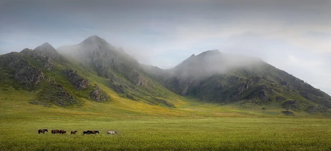 Предгорье сайт смоленского. Предгорье Алтая. Природный парк предгорье Алтая. Равнинный Алтай предгорья Кавказа. Фото предгорье Алтая.