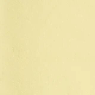 1900 11