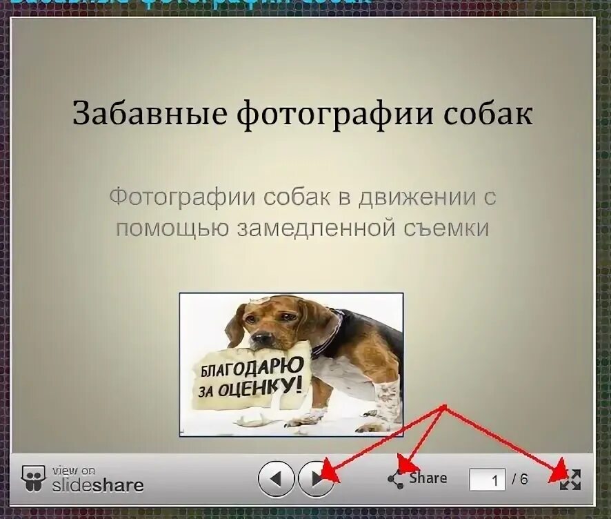 Как Скинуть Фото В Историю - Telegraph
