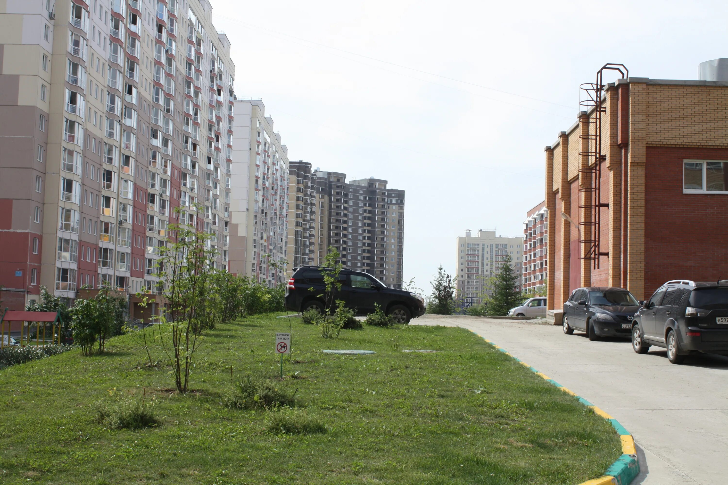 Жилмассив родники. Родники Новосибирск. Жилмассив Родники Новосибирск. Новосибирск улица Родники 1. Родники 2 Новосибирск.