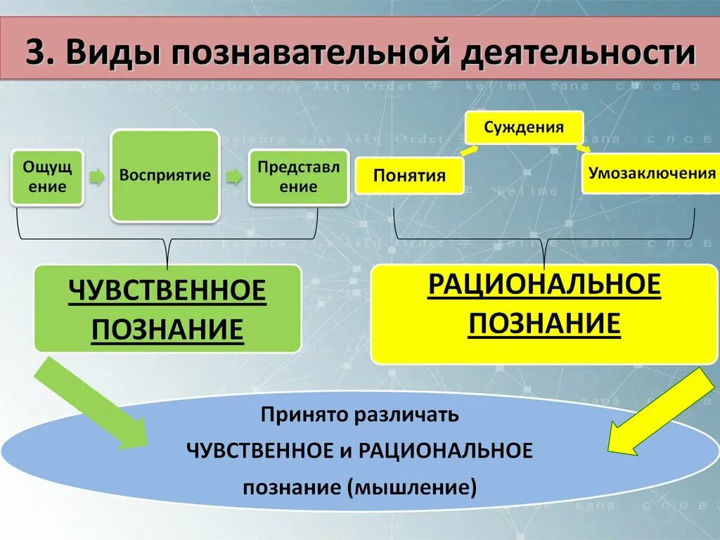 Какой вид деятельности является. Назовите виды познавательной деятельности. Видыновательной деятельности. Видлрв познавательно деятельности. Виды познавательной деятельности человека.