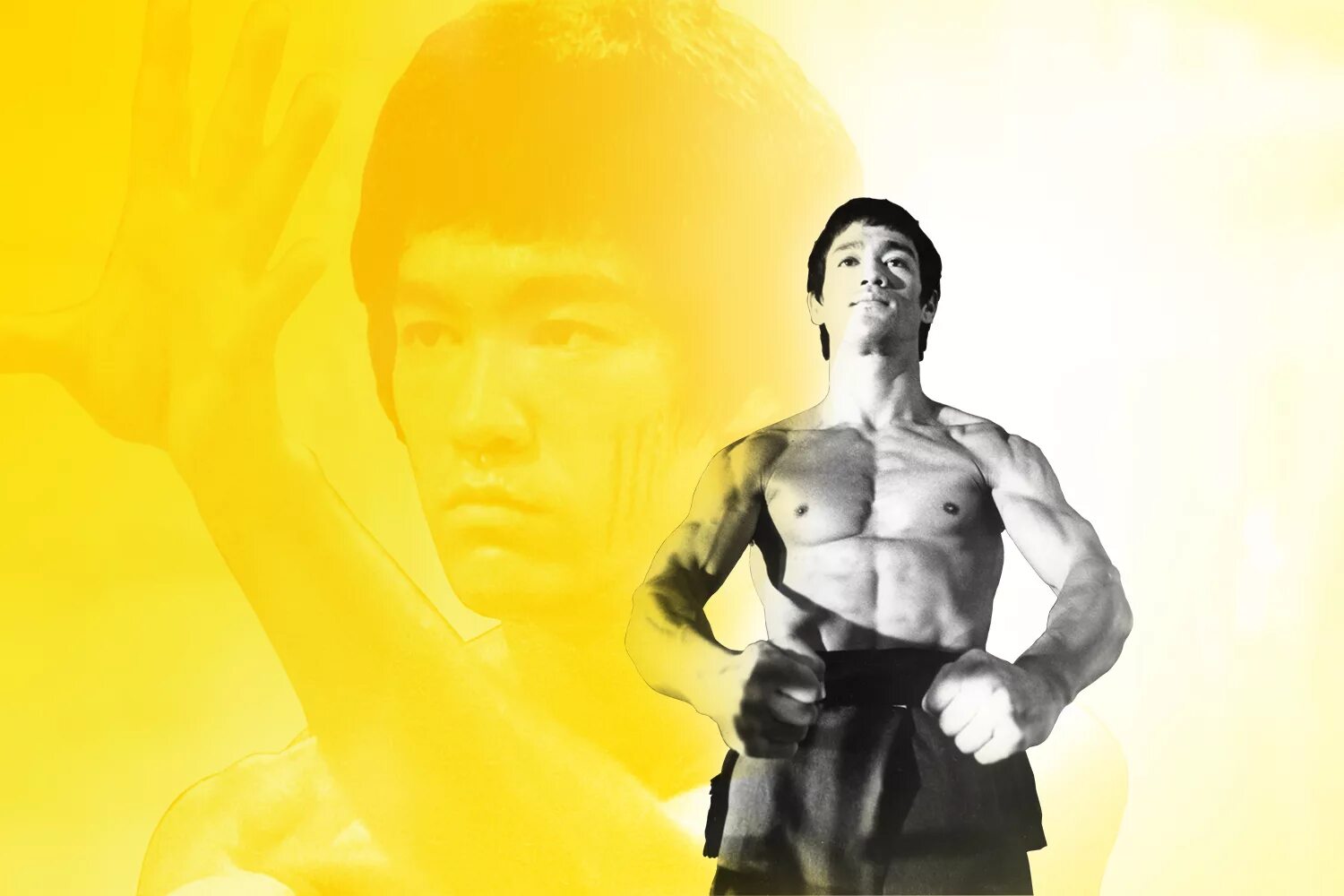 Брюс ли фото. Vicki li фигура. Брюс ли. Lee ji-eun айю. Iu певица.