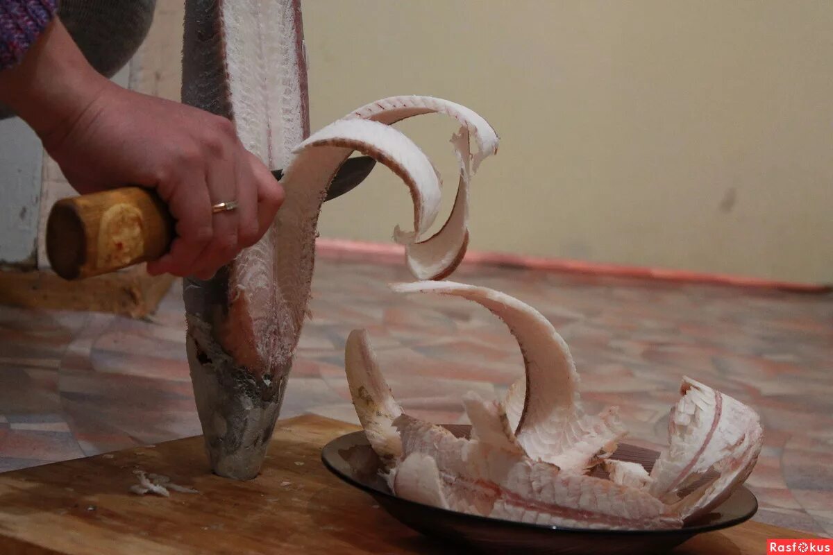 Рыба чир строганина. Муксун строганина. Нельма строганина. Чир якутия строганина рыба. Строганина северная рыба муксун.