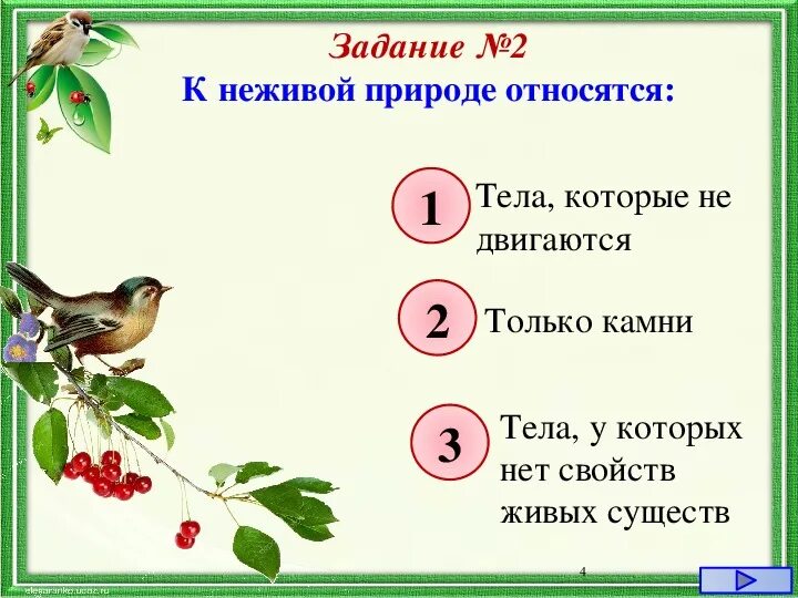 К неживой природе относят. Что не относится к неживой природе. К неживой природе относятся тест. Ты не живой природе не относится. Проверочная работа неживая природа 2 класс.