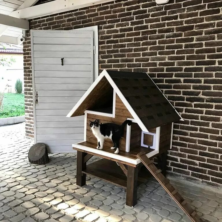 Уличные кошки купить. Домик для кошек. Уличный дом для кошек. Уличные деревянные домики для кошек. Будка для кошек уличная.