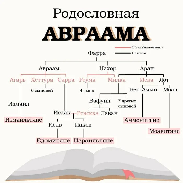 Древо потомков. Родословная Иисуса Христа от Адама схема. Родословная Авраама Библия схема. Потомки Иакова Израиля родословие схема. Генеалогическое Древо Адама и Евы.