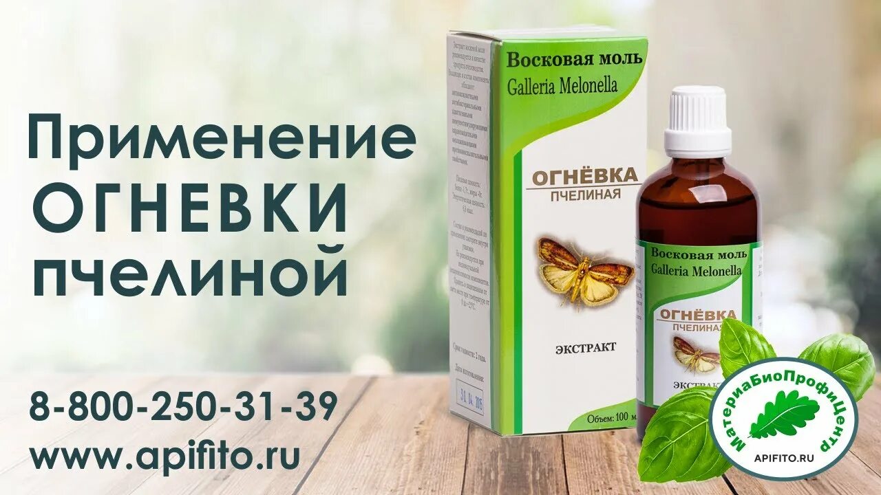 Восковая моль Galleria mellonella. Огнёвка пчелиная таблетки. Огневка материа био профи. Экстракт огневка фотоклипарт. Купить огневку пчелиную в аптеке