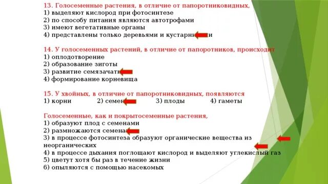 Голосеменные растения в отличие. Отличие голосеменных от папоротников. Голосеменные растения в отличие от папоротников. У голосеменных растений в отличие от папоротников не происходит.