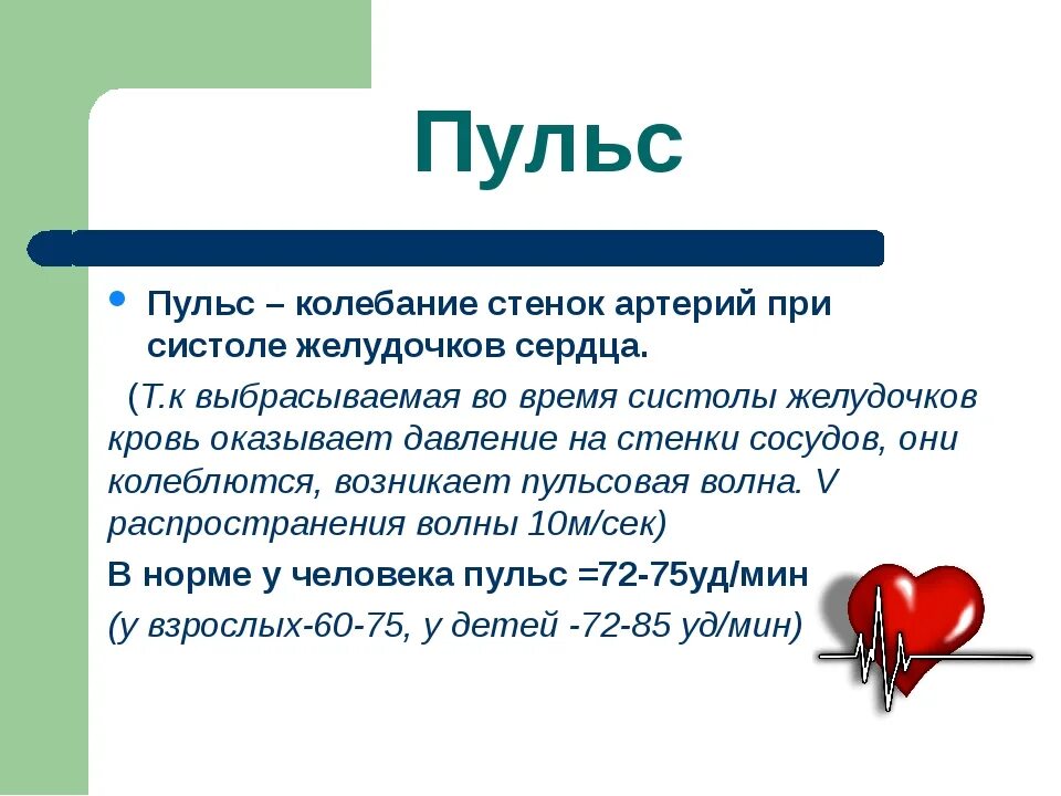 Сердцебиение причины лечение. Пульс. Пульс это в биологии. Пульс биология 8 класс. Пульс презентация.