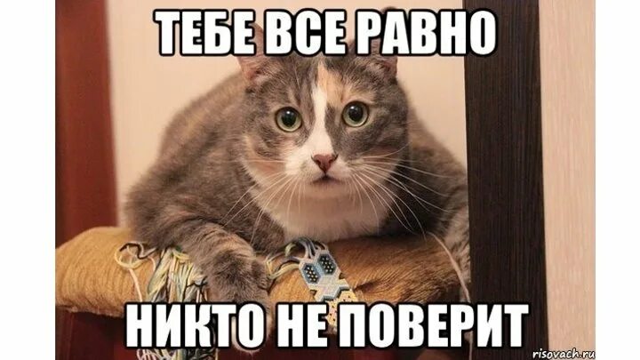 Поверьте нету