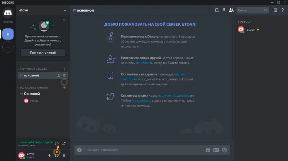 Дискорд. Интерфейс Дискорд сервера. Discord Интерфейс. Первый Интерфейс Дискорд. Дискорд через сайт