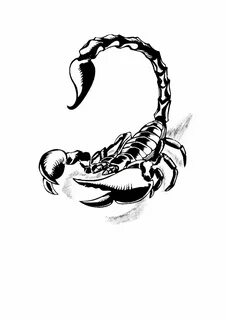 Татуировка скорпион эскиз - 78 фото