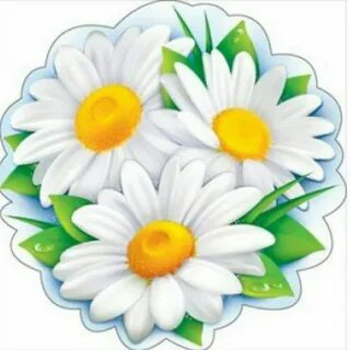 Картинка ромашки для оформления