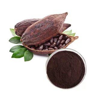 Экстракт какао