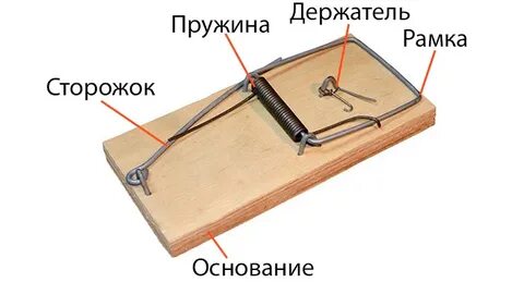 Как зарядить мышеловку пошаговая инструкция