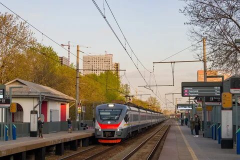 Люблино шаховская