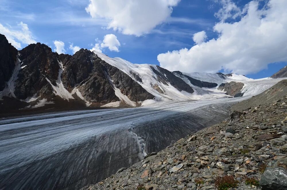 Горный ледник это. Ледник Актру горный Алтай. Актру горный Алтай Чуйский тракт. Долина Актру горный Алтай. Гора Актру Северо Чуйский хребет.