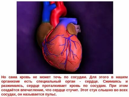 Почему когда вижу человека сердце бьется