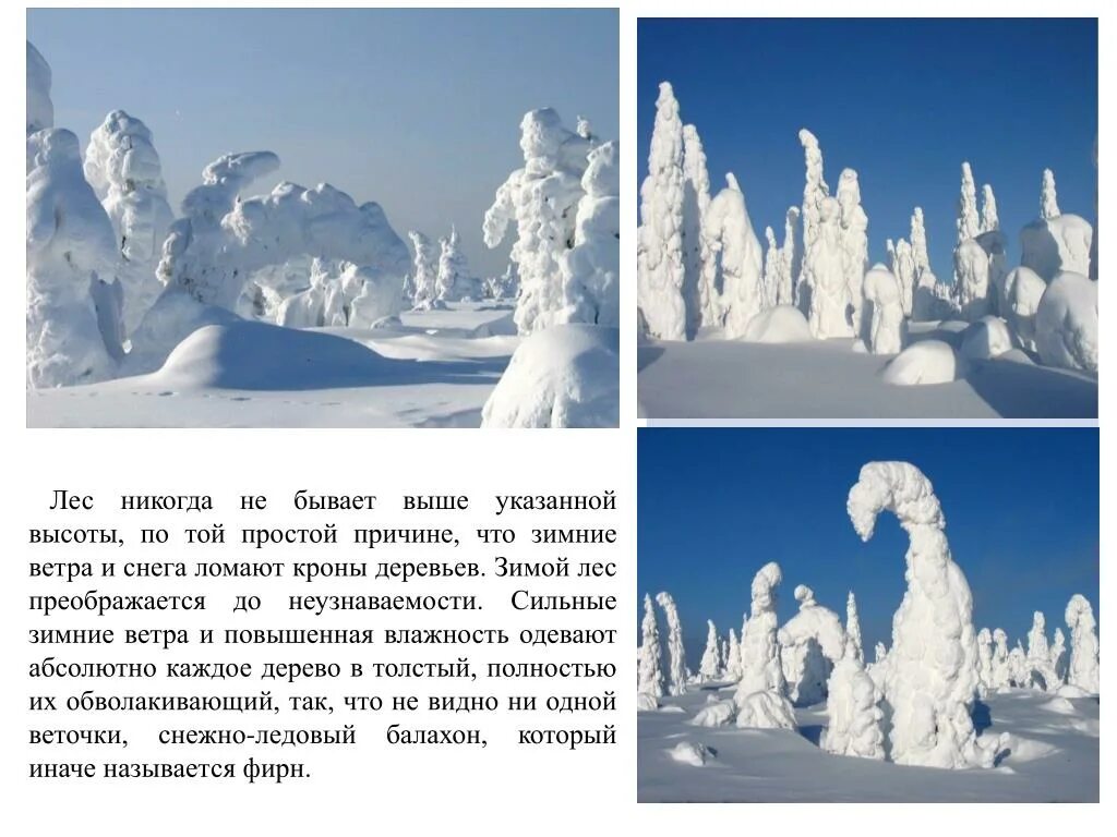 Эдуард хуснутдинов 2020. Гдз по русскому языку 4 класс урок 94. Речка как пишется правильно. Гдз русский 4 класс 2 часть иванов. В декабре лес преображается неузнаваемо.