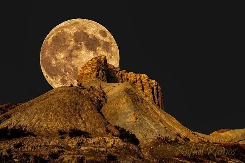 Луна царского. Луна в пустыне. Пустыня ночь Луна. Полнолуние в пустыне. Луна над пустыней.