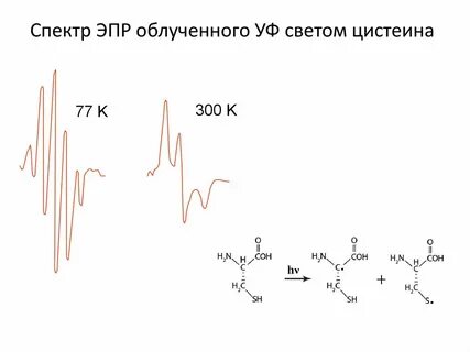 Эпр