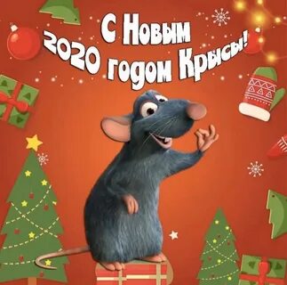 2012 1 год 2020 год
